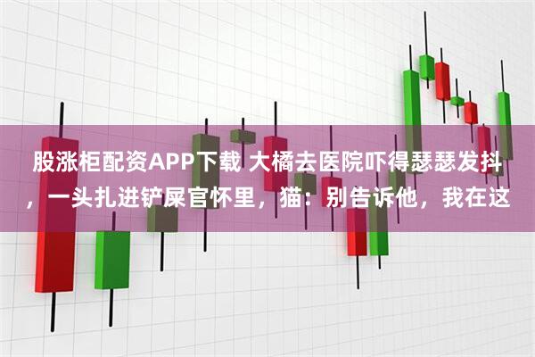 股涨柜配资APP下载 大橘去医院吓得瑟瑟发抖，一头扎进铲屎官怀里，猫：别告诉他，我在这