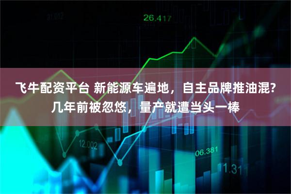 飞牛配资平台 新能源车遍地,自主品牌推油混?几年前被忽悠,量产就遭当头一棒